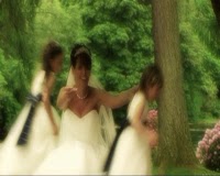 Wedding Videos Taylor Made 1060606 Image 8